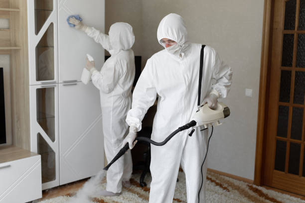 Best Mold Cleaning Services  in Claymont, DE