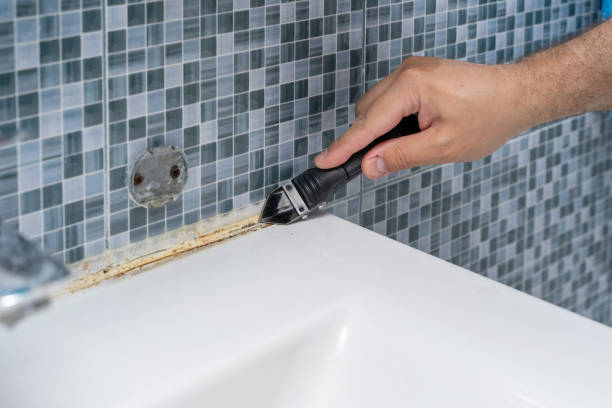Best Office Mold Removal Services  in Claymont, DE